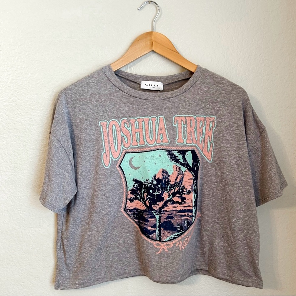 NWT, DAILYLOOK Joshua Tree National Park Heather Gray Cropped Tee, Size Medium